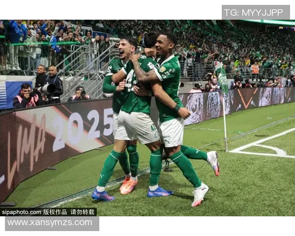 2019年美国与厄瓜多尔足球比赛精彩直播回顾与分析