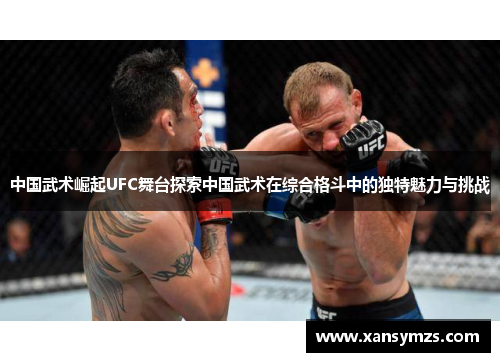 中国武术崛起UFC舞台探索中国武术在综合格斗中的独特魅力与挑战