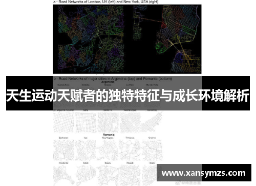 天生运动天赋者的独特特征与成长环境解析