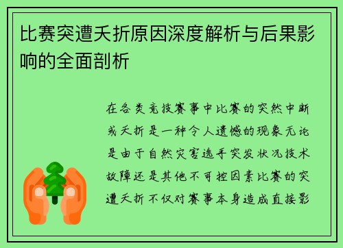 比赛突遭夭折原因深度解析与后果影响的全面剖析