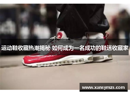 运动鞋收藏热潮揭秘 如何成为一名成功的鞋迷收藏家